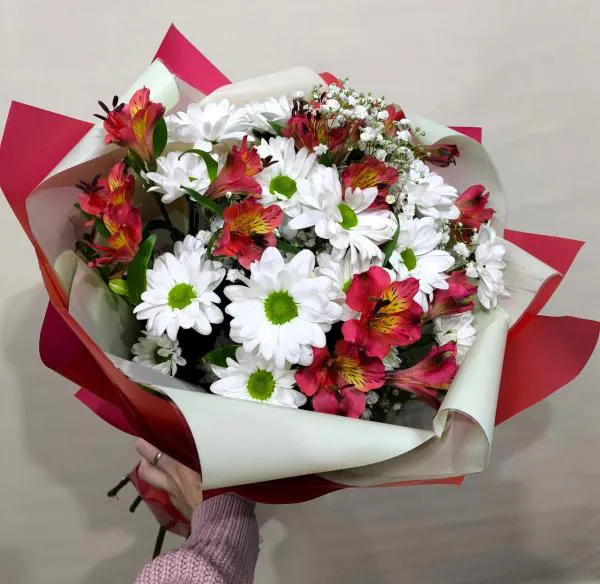 Серенада любви